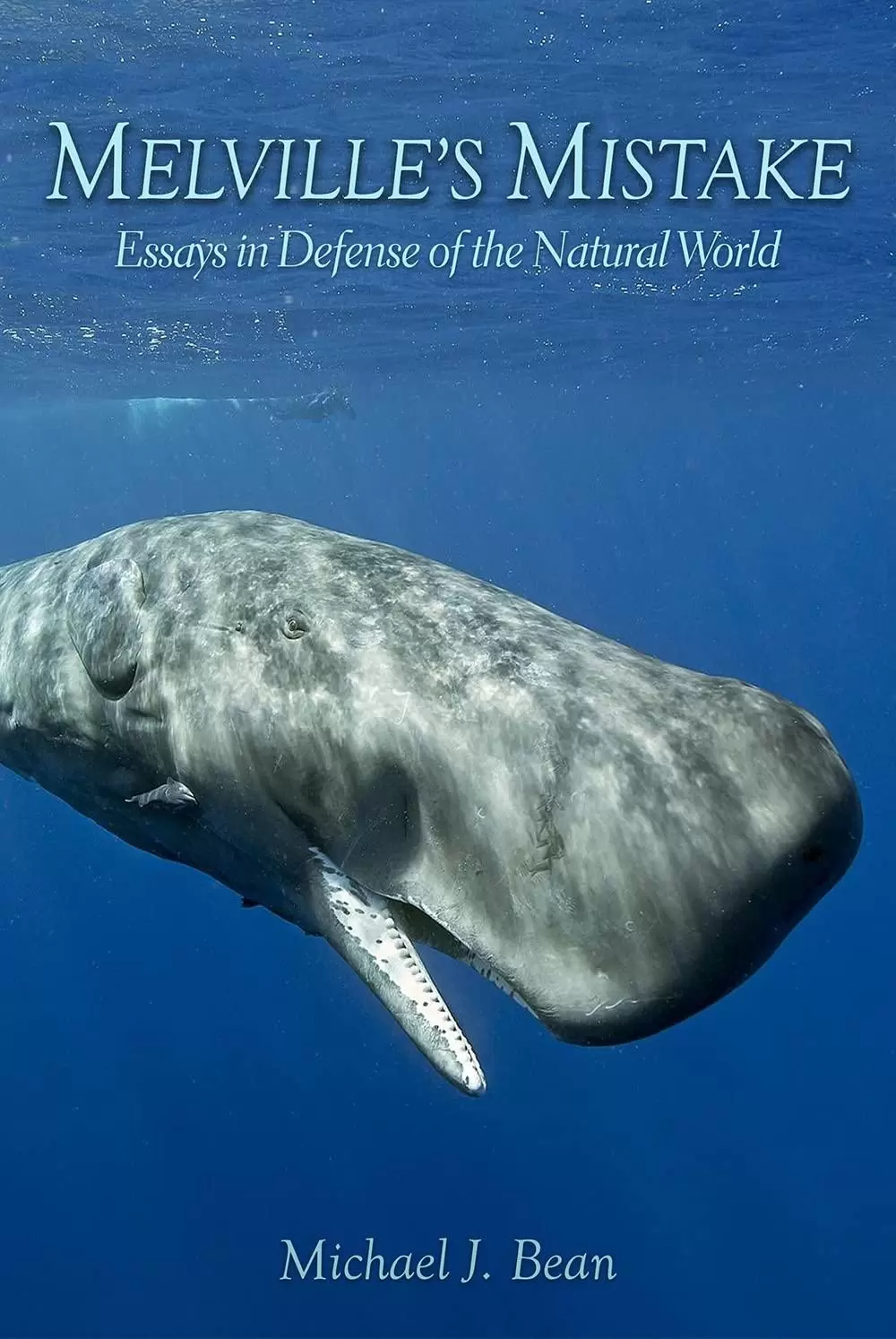 Book cover of Melville's Mistake: Essays in Defense of the Natural World