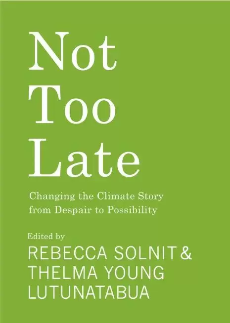 Book cover of Not Too Late: Changing the Climate Story from Despair to Possibility