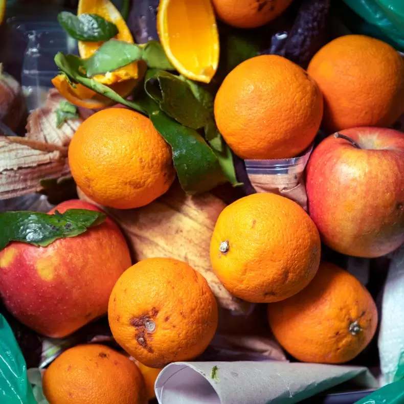 Collection of fruit and food scraps