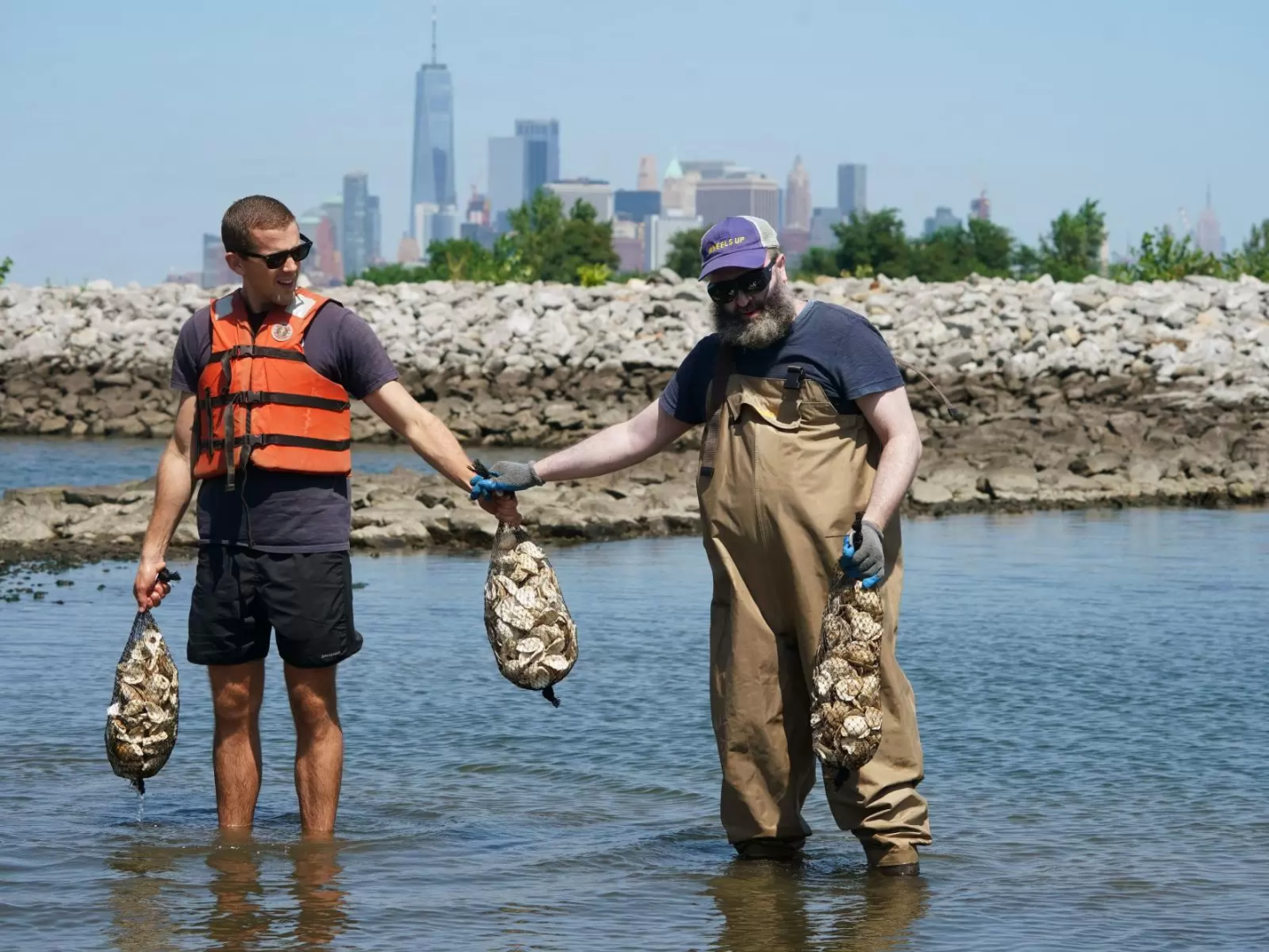 Two men ankle deep in water holding bags of oysters with Manhattan skyline in the background