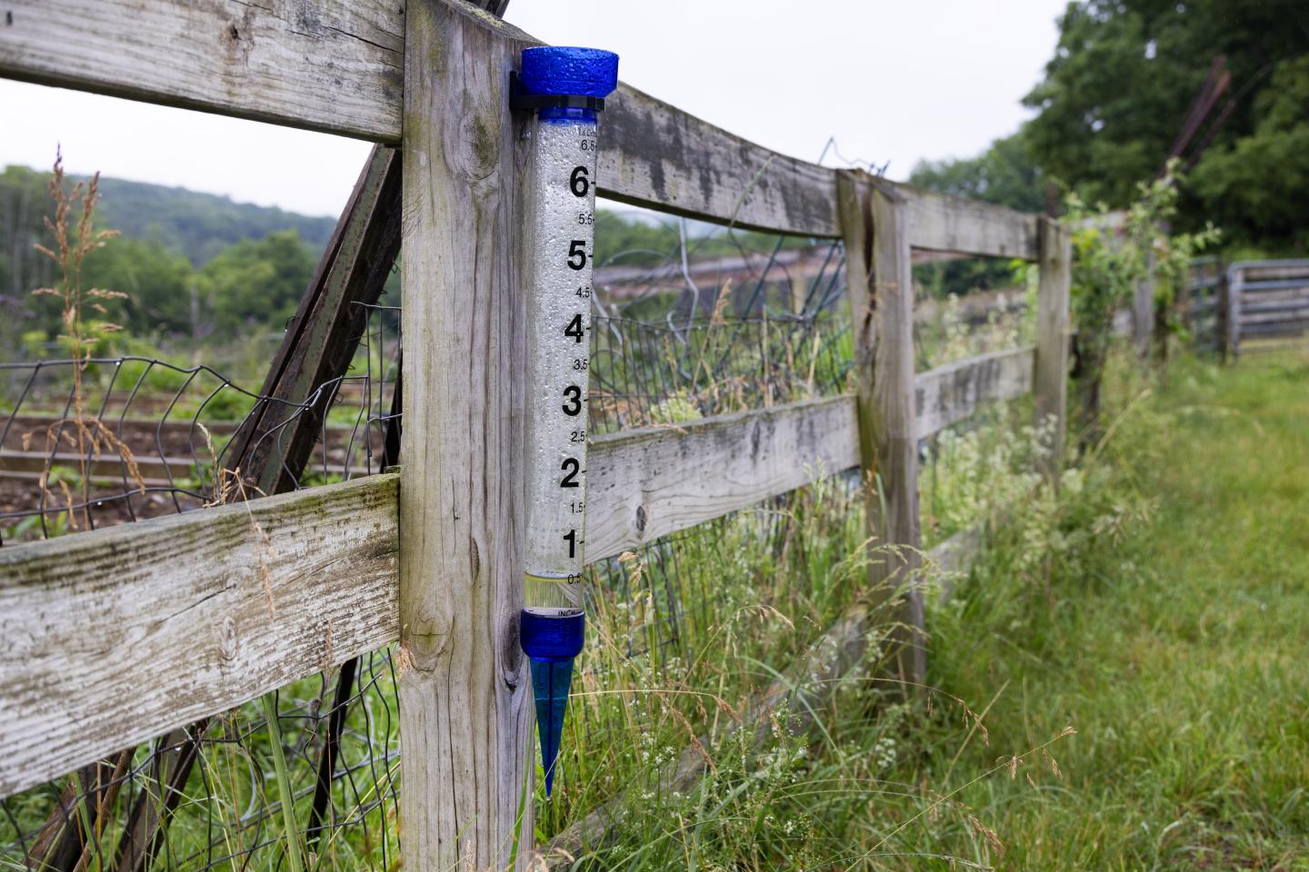 A rain gauge attached to a wooden fence