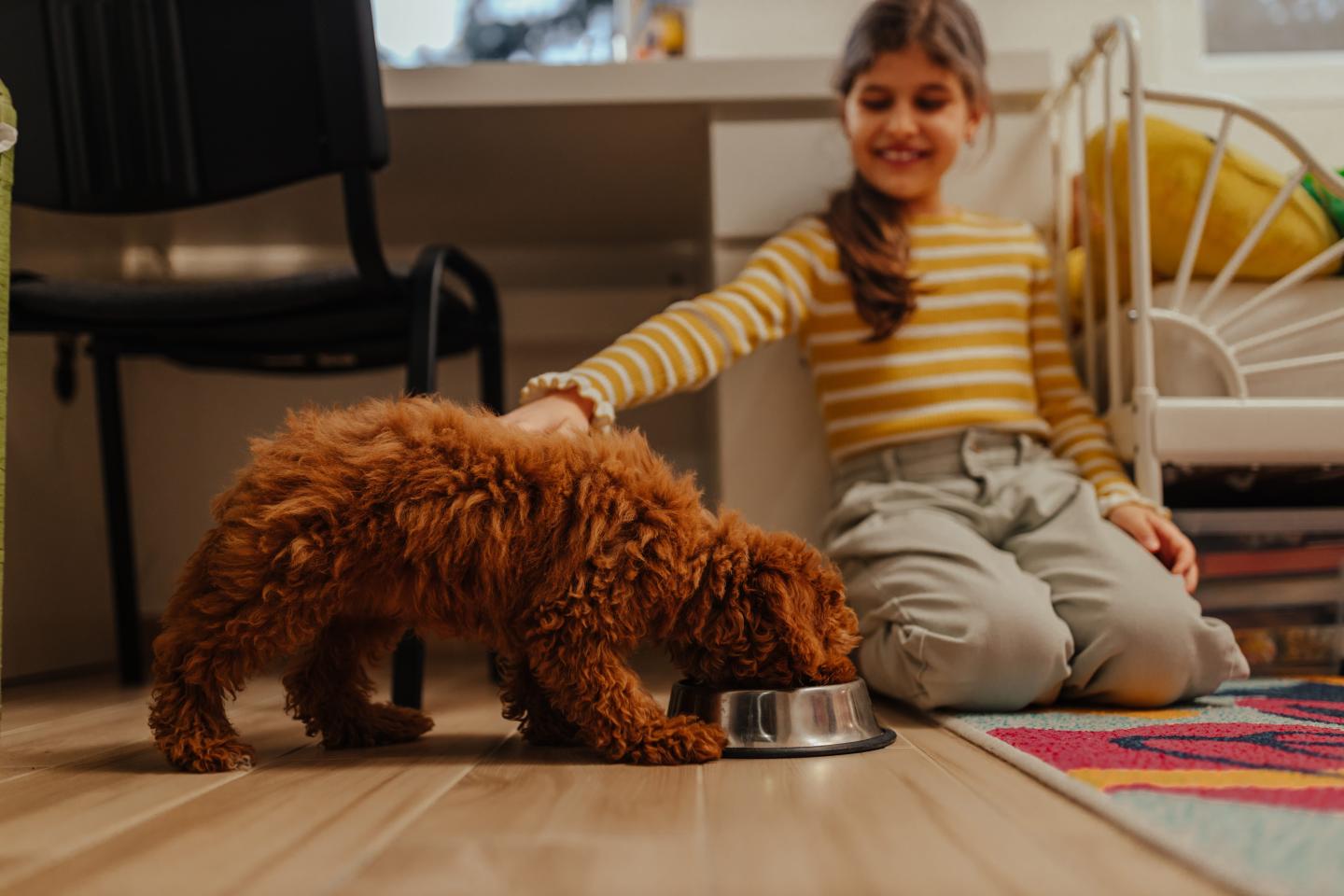 A child petting a dog while the dog eats food