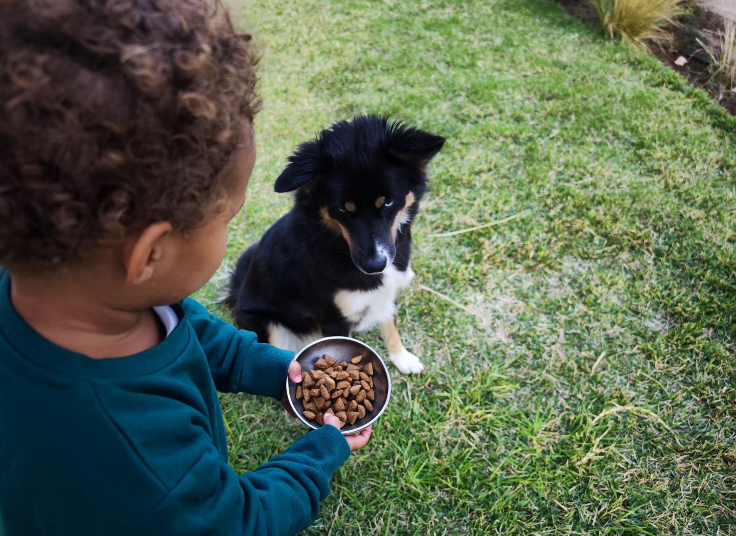 A small child stands next to a puppy about to hand the dog a bowl of food