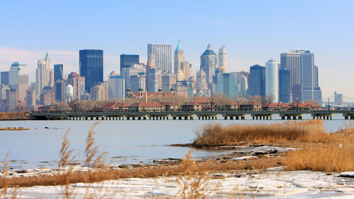 A wetland view of the island of Manhattan — probably not as big a tourist destination, but an important part of the ecosystem!