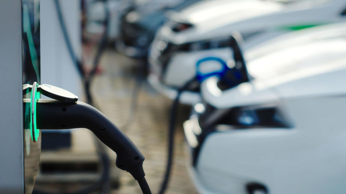 A row of electric vehicles plugged into chargers