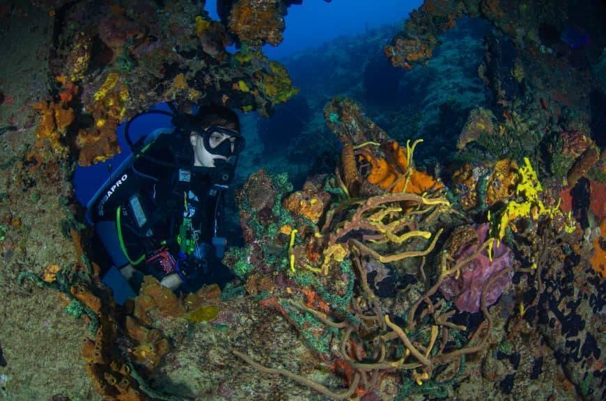 An underwater diver inspects a coral reef