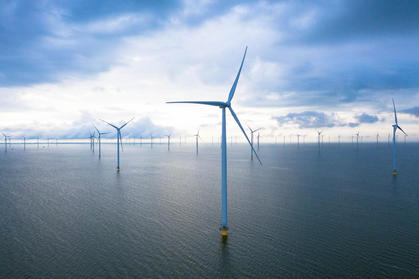 An offshore wind farm