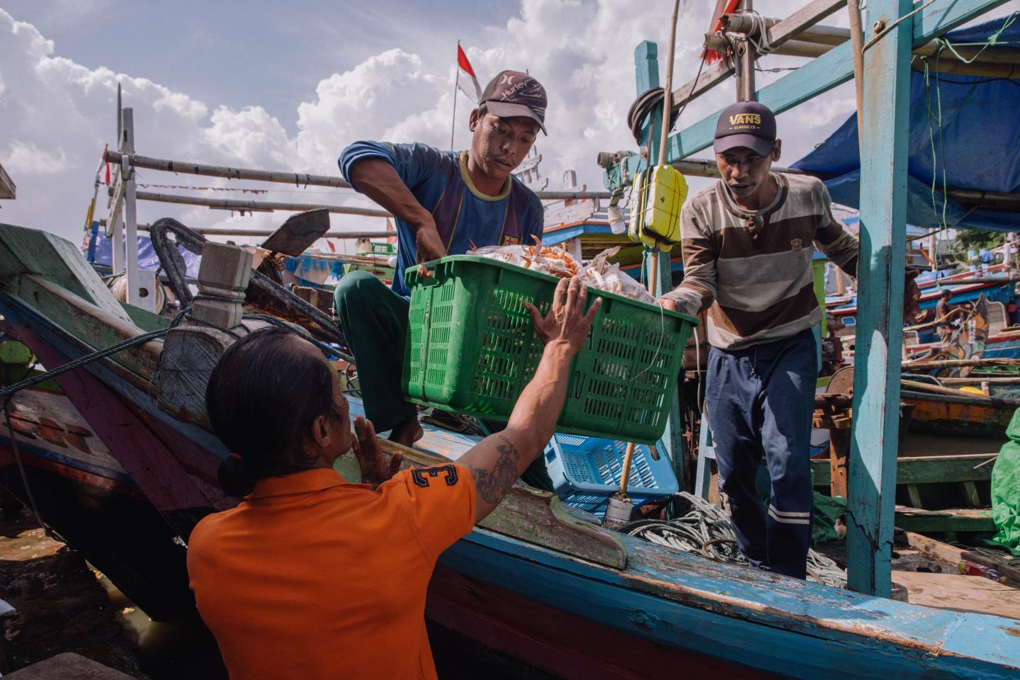 Baskets of crabs being pulled off a boat