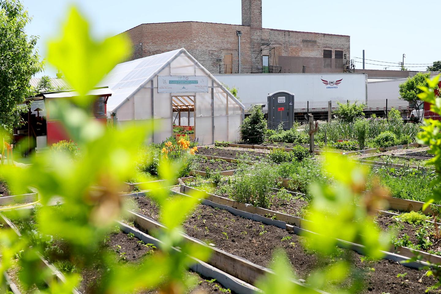 A green garden sits in the foreground as a large truck drives in the background