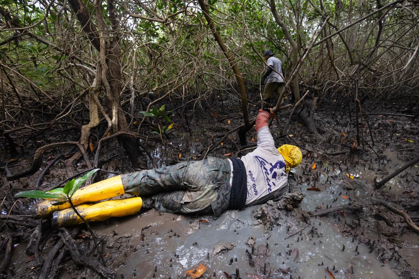 José Ordinola with his entire arm, up to their shoulder, into deep mud to pull out a crab