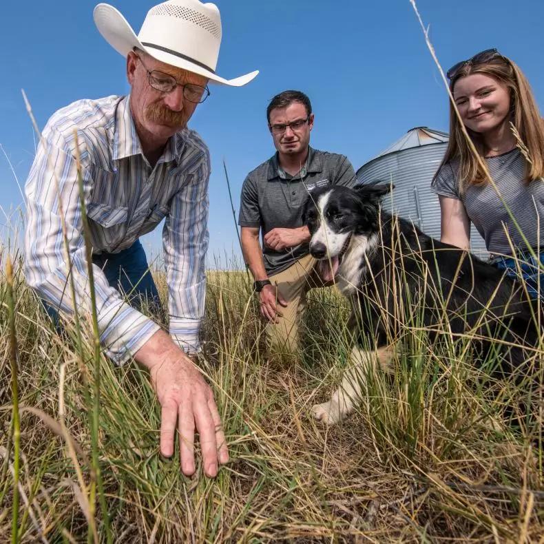 Three people and a dog inspecting soil