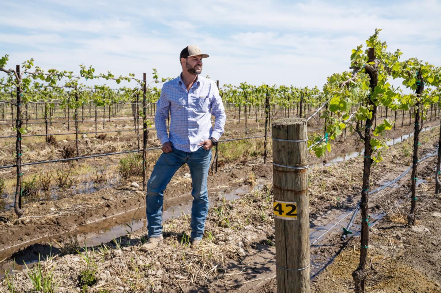 Nick Davis standing in his vineyard