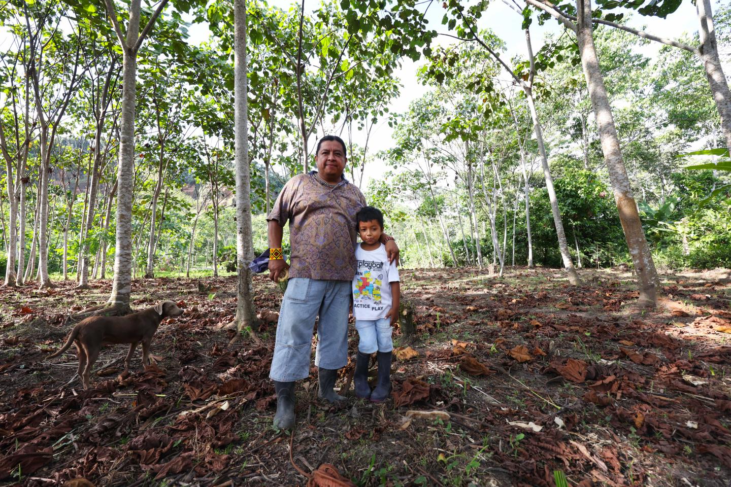 Juan Carlos Jintiach and his son in a grove of  balsa trees. 
