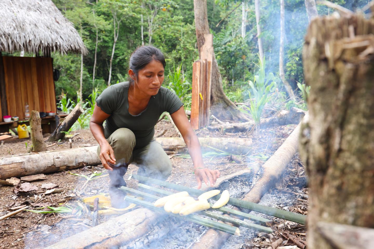 A member of the Shuar people cooking plantains 