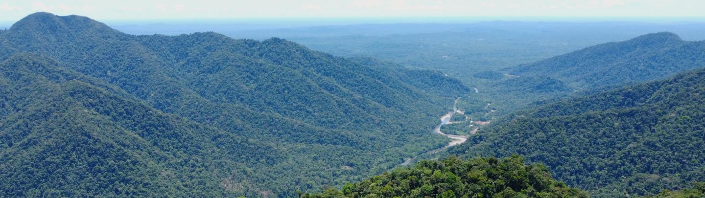 A sweeping landscape shot of sprawling hills of Amazon jungle with a river carving through a valley below