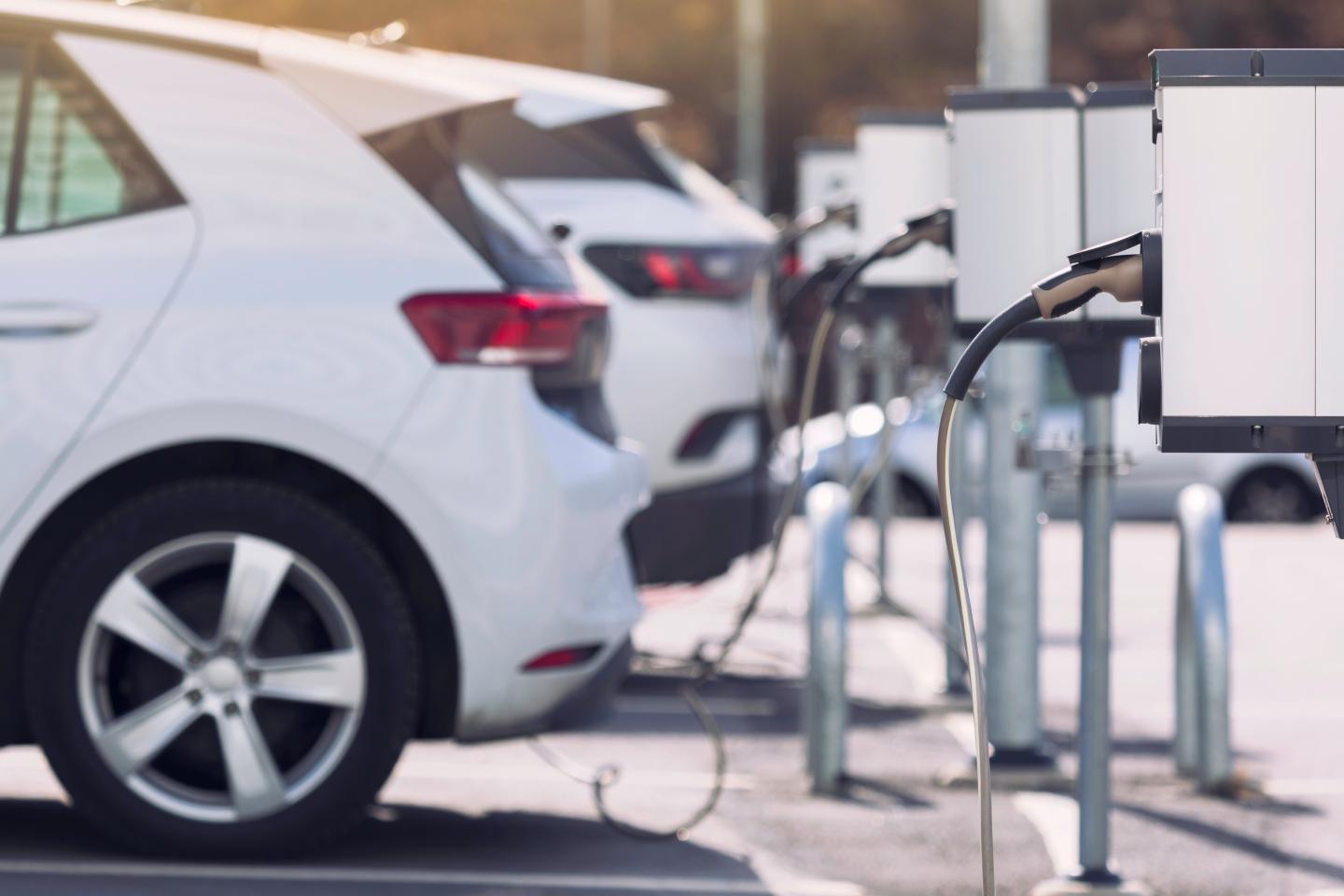 A row of electric vehicles at car chargers