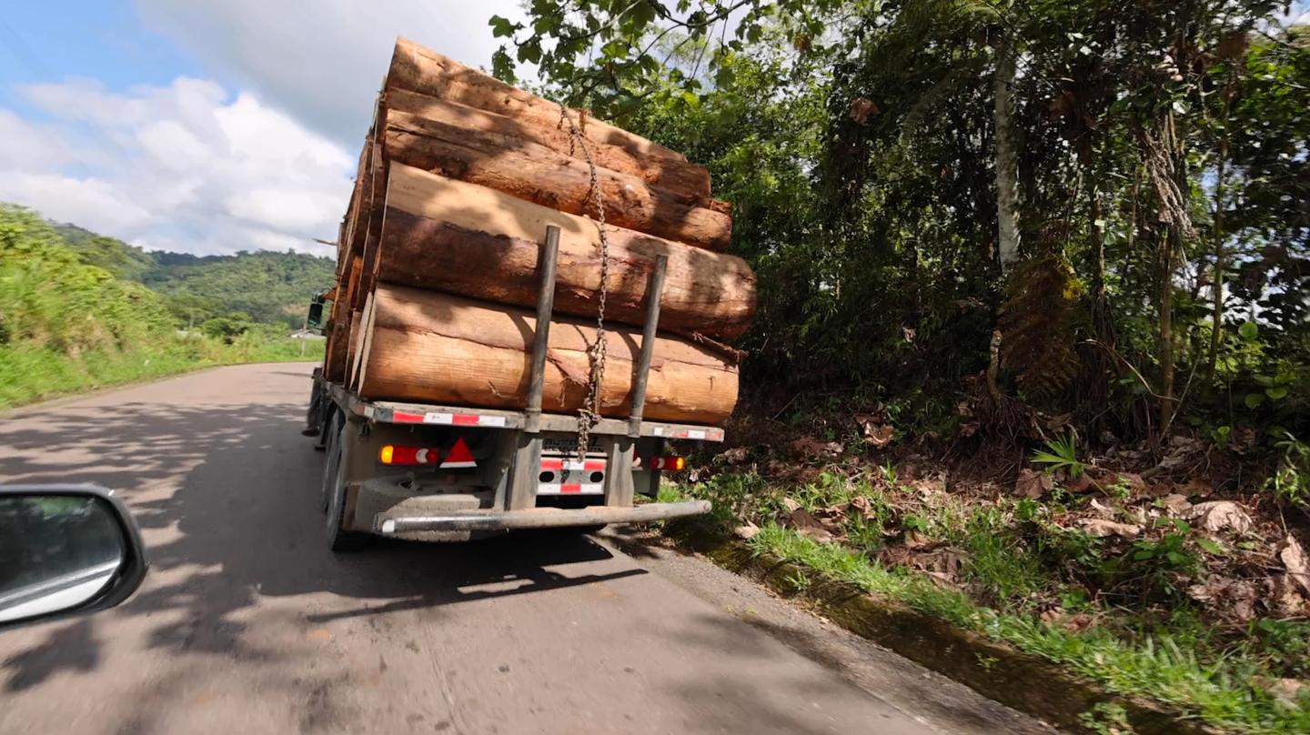 A truck carrying logs out of the Amazon