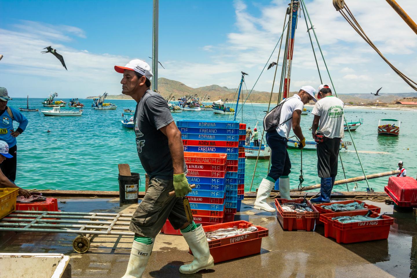 Fishers in Peru walk the docks