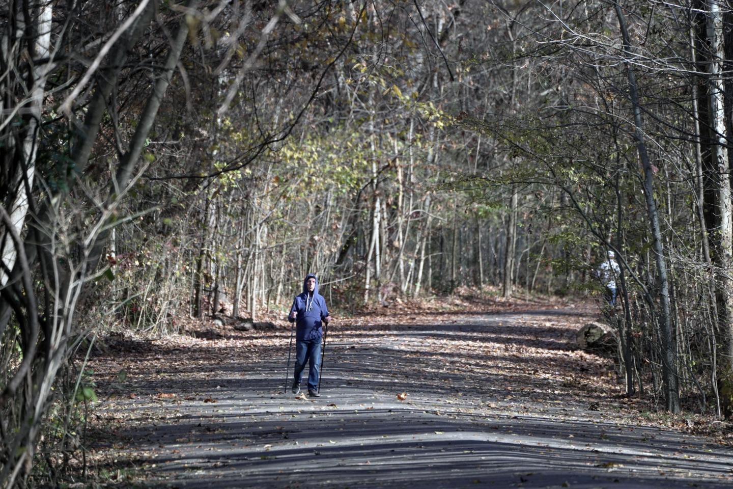 A person in the distance walking down a paved path in Overton Park
