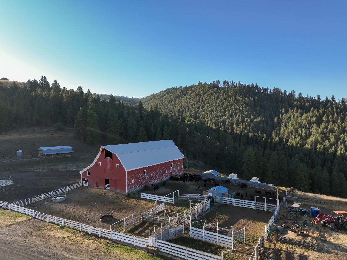 The Wittman family farm from a drone shot shows a red barn and white fences