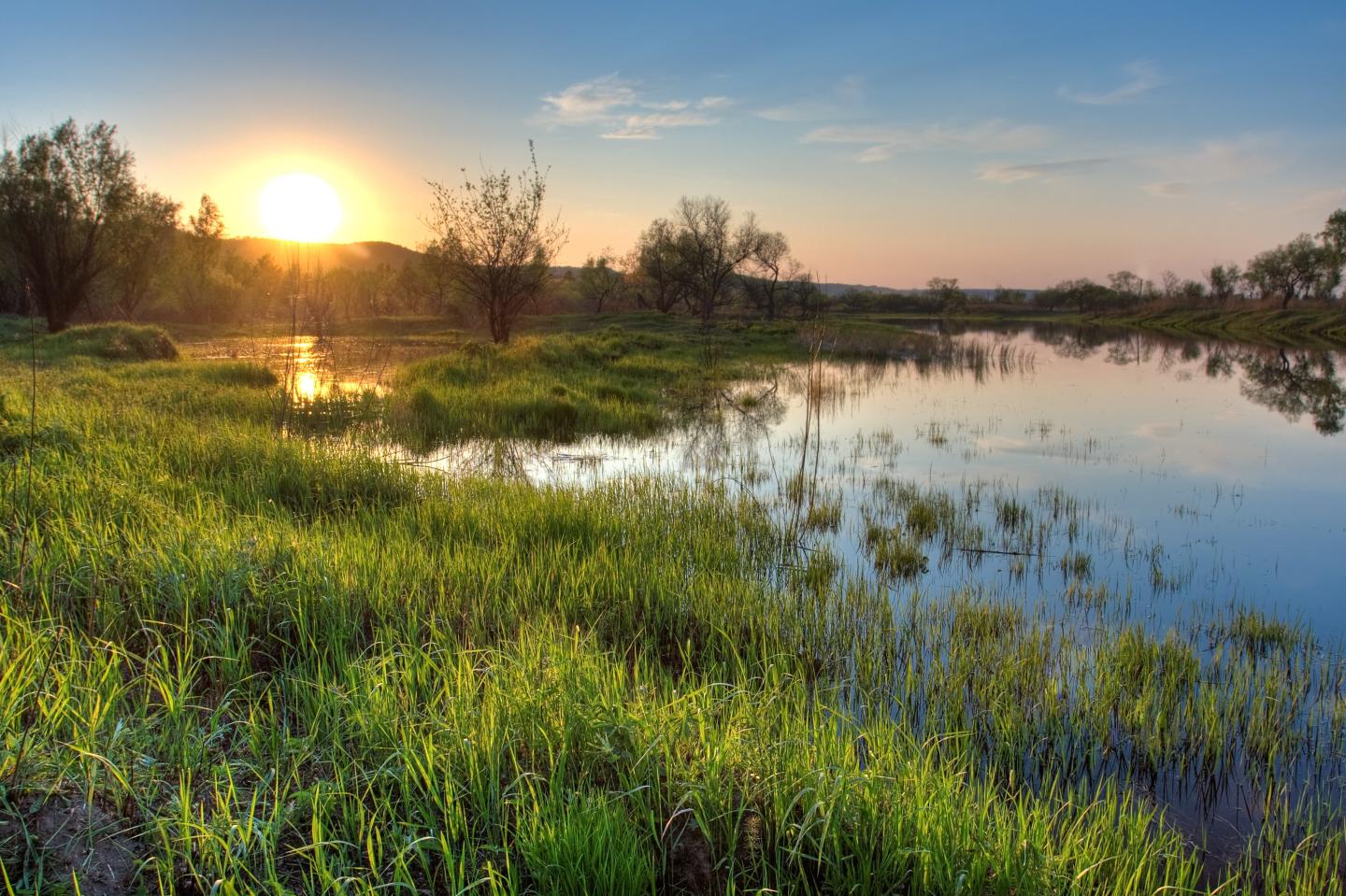 A sunrise over beautiful wetlands