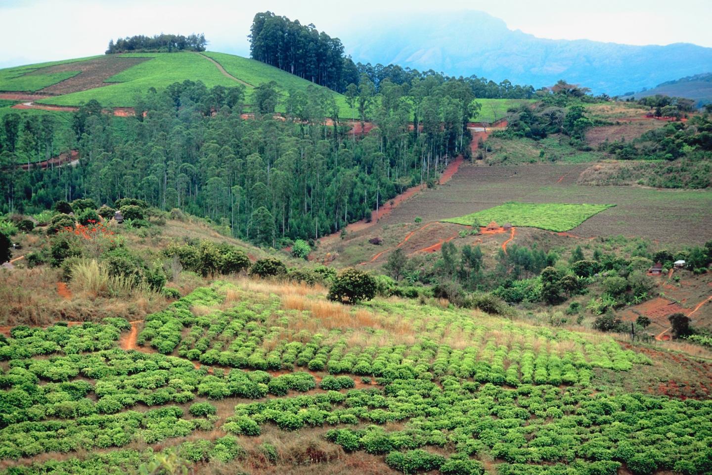 Rolling hills and farmland in Zimbabwe 