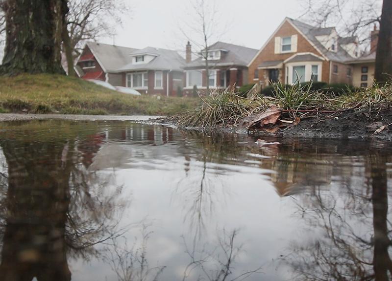 Homes line a street in the background with a yard flooded in the foreground
