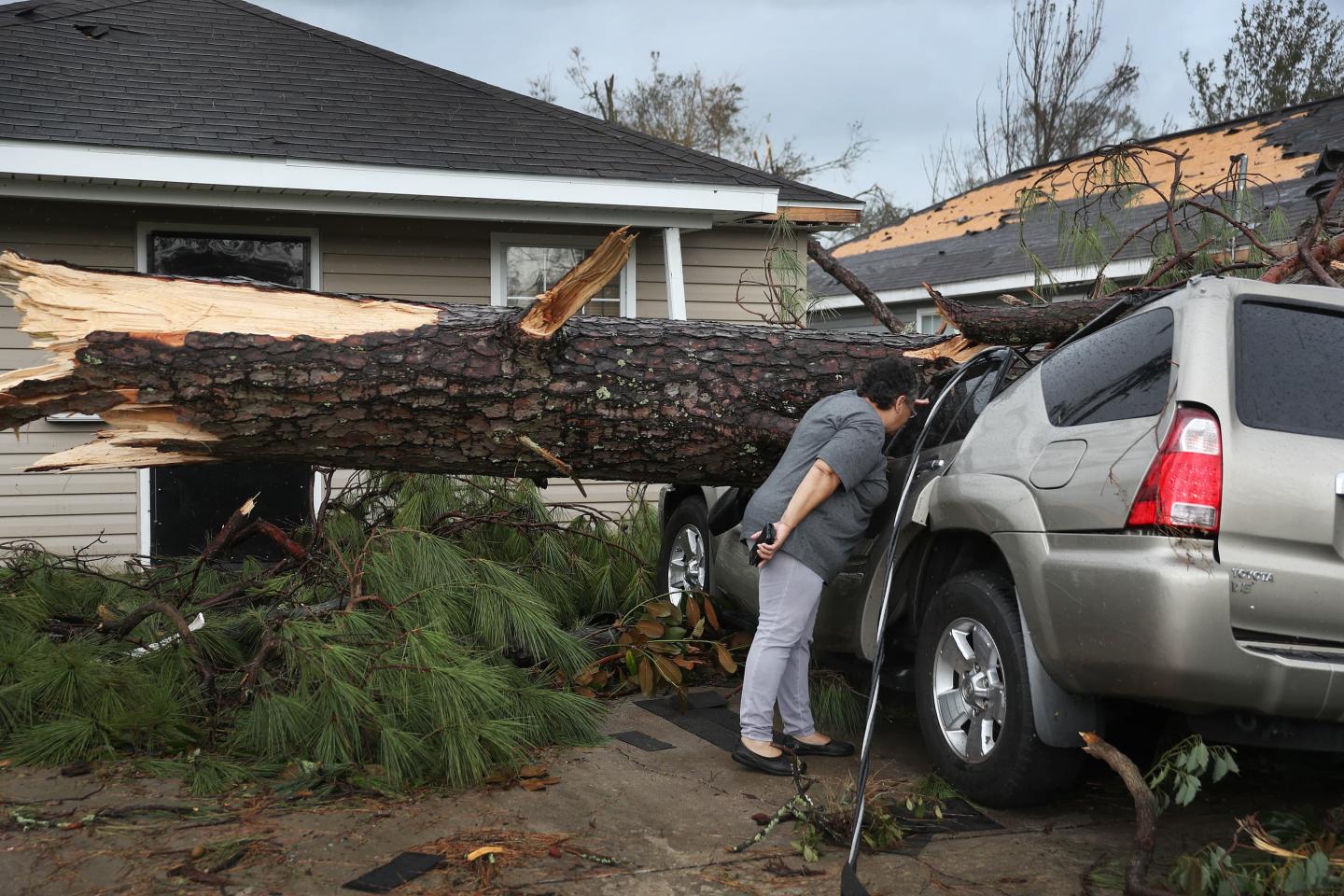 A person checks inside of a car that has been crushed by a tree after a hurricane