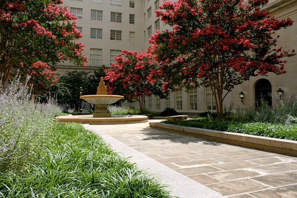 Trees blooming in a building courtyard