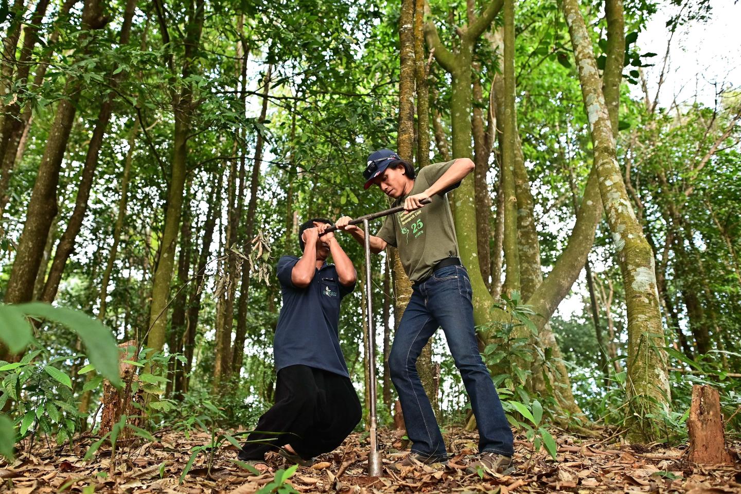 Two people collecting a soil sample with a large metal tool