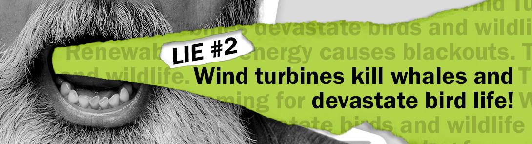 A graphic with a yelling mouth with "Lie #2 wind turbines kill whales and devastate bird wildlife" on it