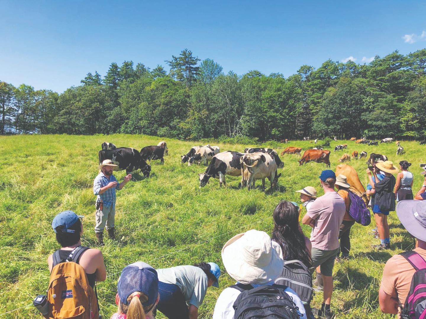 A farmer standing in a field with some cows giving a lecture to people surrounding