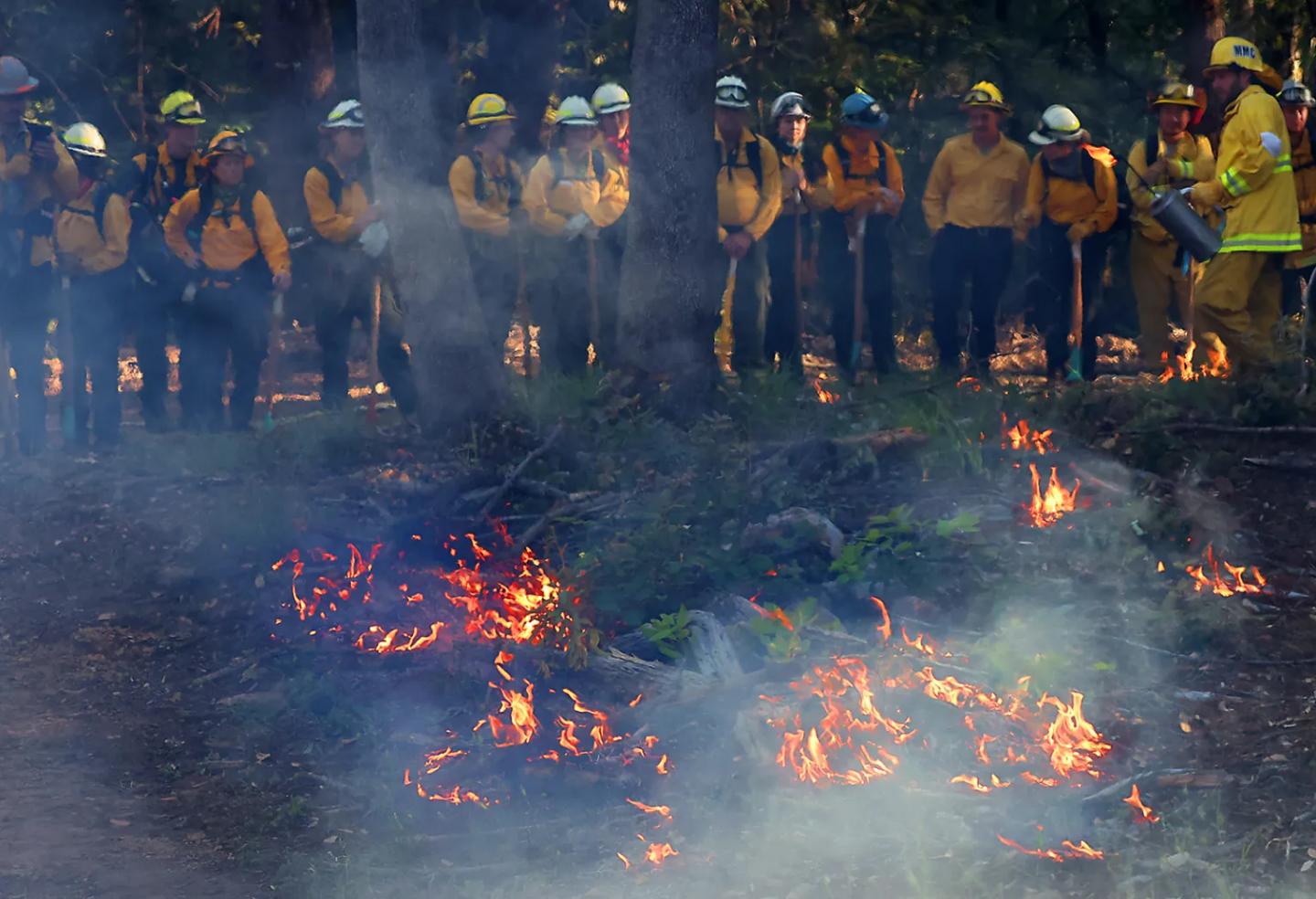 A group of firefighters watching a controlled burn