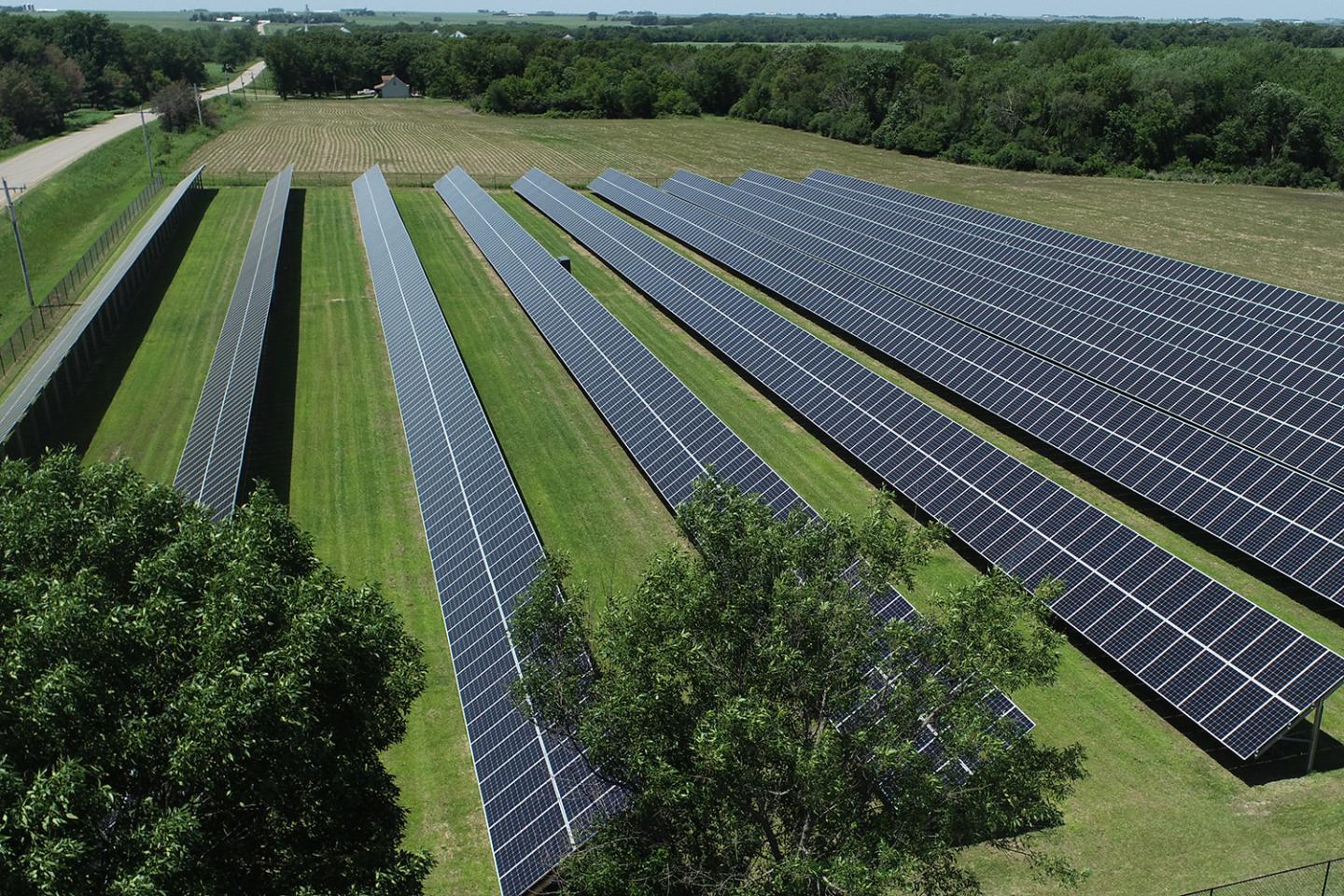 Several rows of solar panels in a green field surrounded by trees