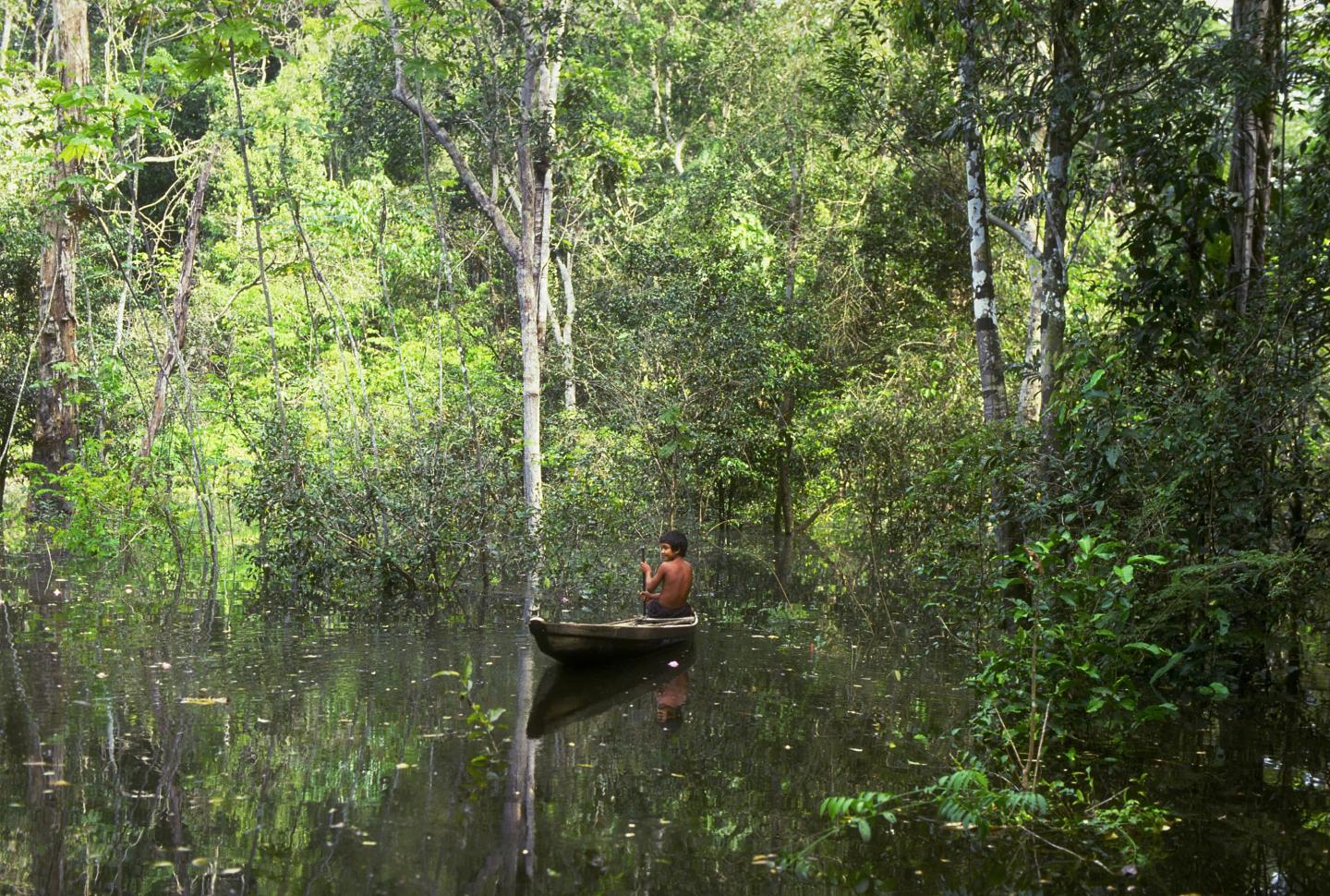 A boy in a wooden boat in the Amazon