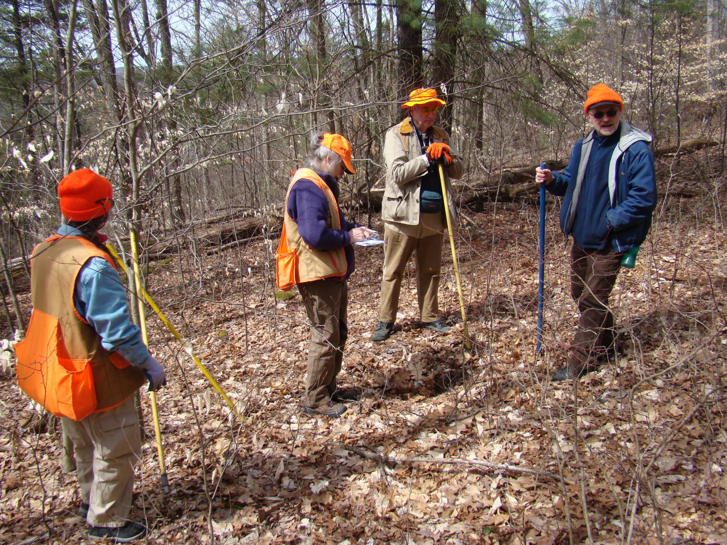 Members of Venango PA Senior Environmental Corp walking through the woods