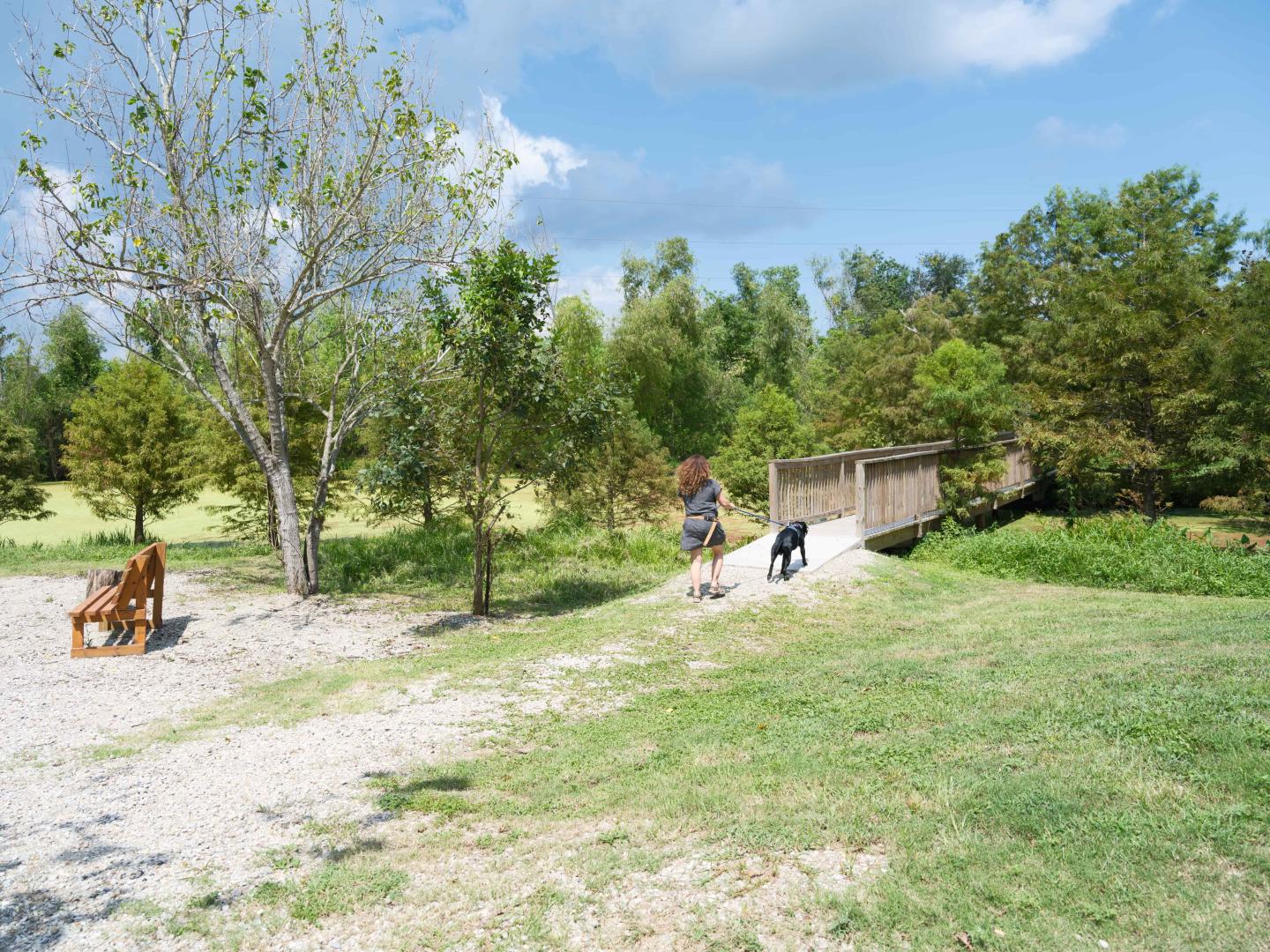 A person walking their dog in the restored wetland in the Lower 9th Ward of New Orleans
