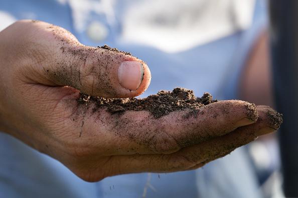 Rebecca Verm holds soil from the farm Wednesday, June 28, 2023, at LBJ Hospital in Houston