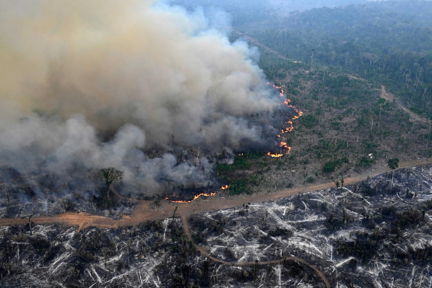 A massive plume of smoke as a wildfire burns the Amazon