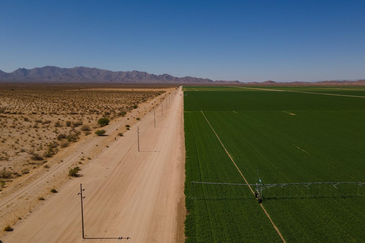 A desert landscape next to lush green fields separated by a dirt road