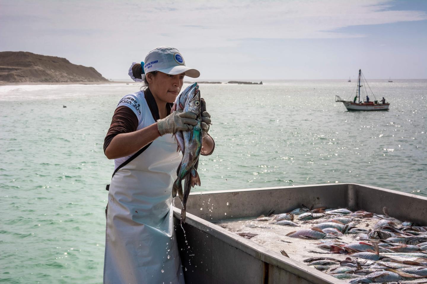 A woman holding up a large fish next to a tub of fish in front of an open bay