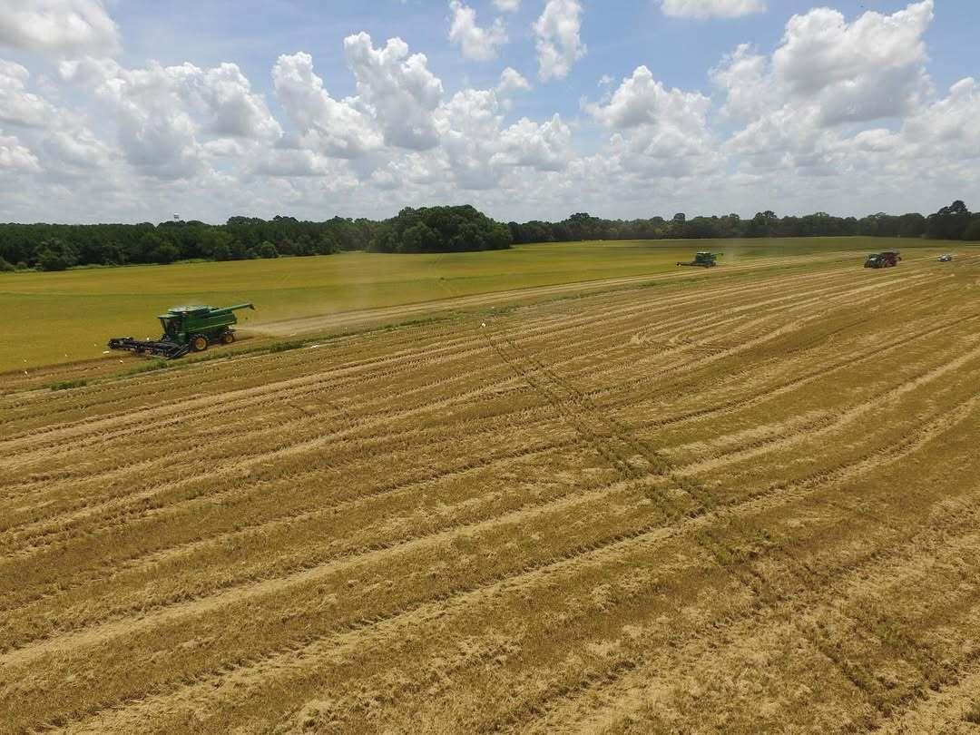 An overhead shot of a tractor in a field