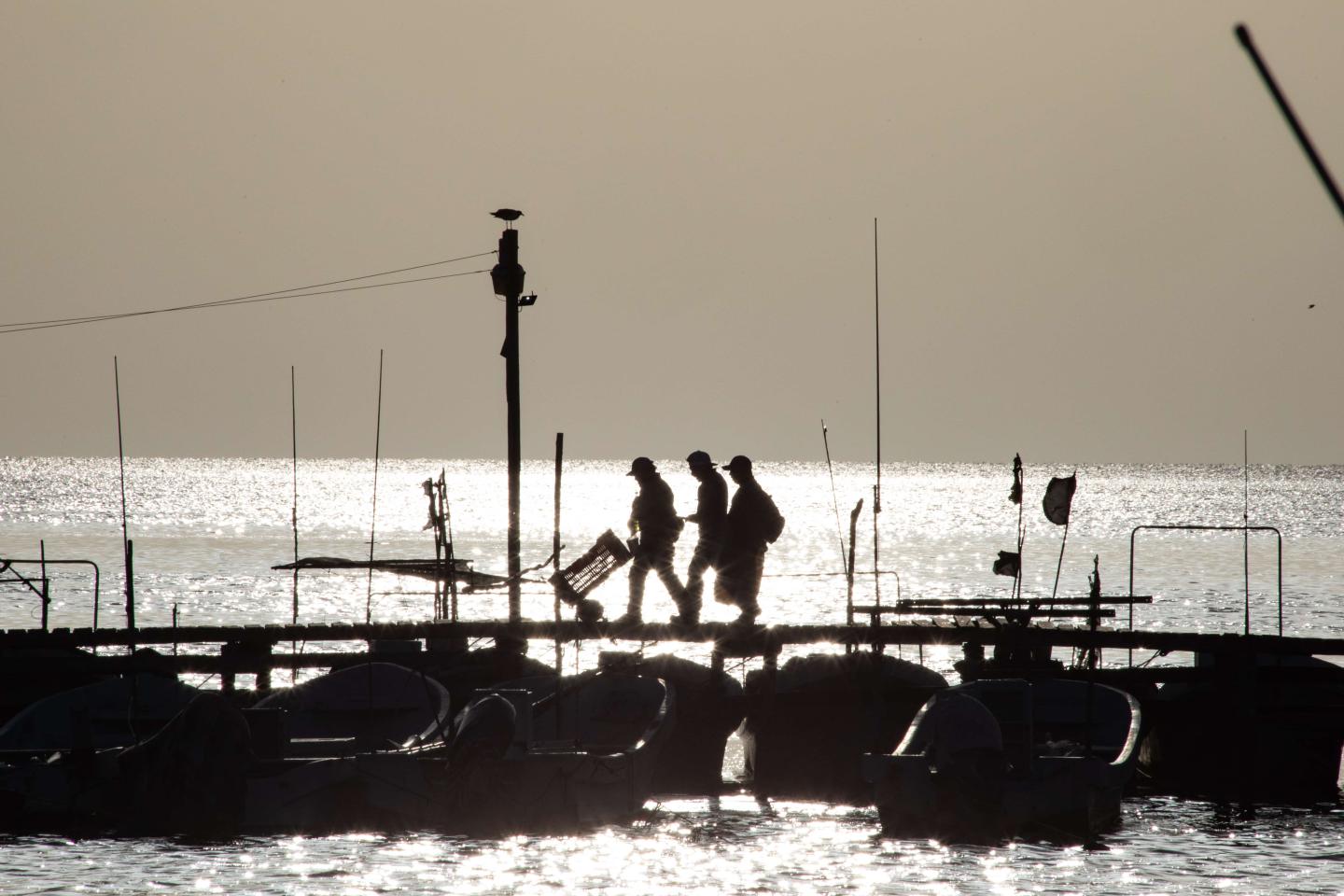 Fishers walking across a wharf with the sun behind them 