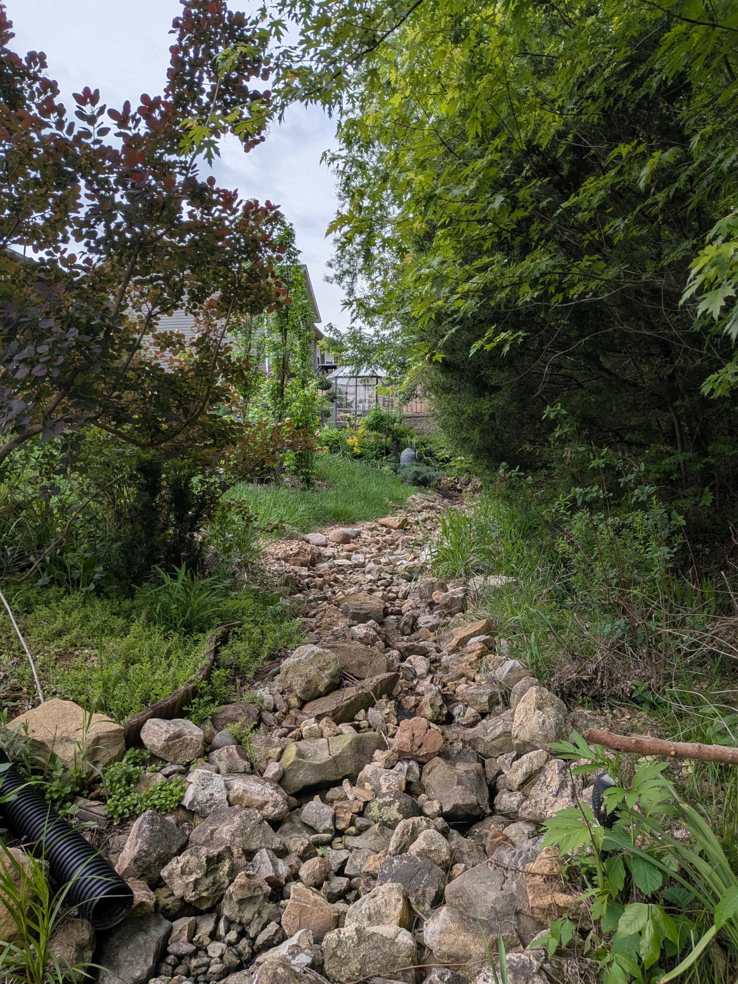 A bed of rocks between trees