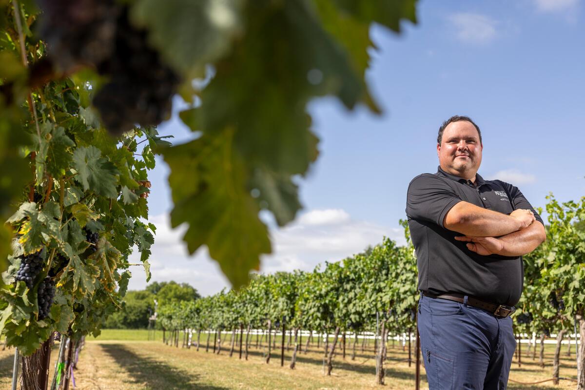 Michael Cook standing in a vineyard