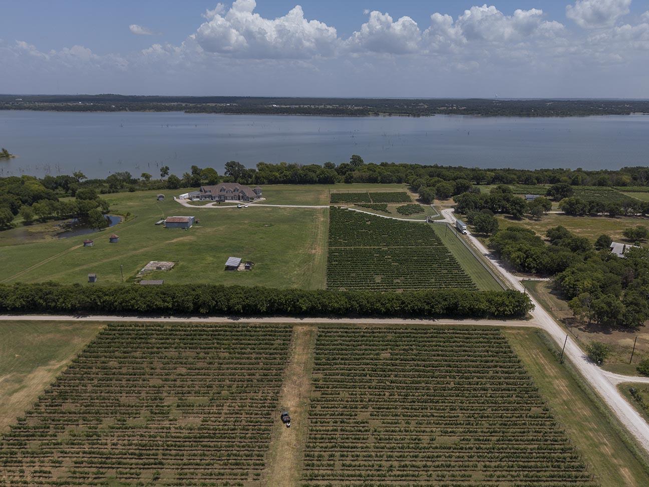 An aerial shot of Edge of the Lake vineyard on the shore of Lake Ray Roberts