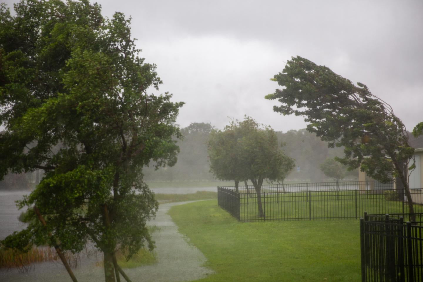 Dark storm clouds and extreme winds bend trees