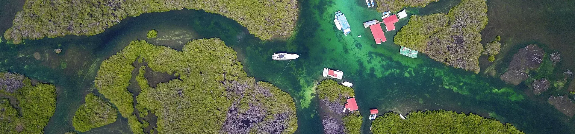 A far above overhead shot of several waterways intersecting, surrounded by trees, and a series of boats and houses at the main intersection point