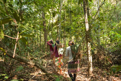 Three people walking through the rainforest