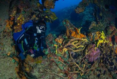 An underwater diver inspects a coral reef